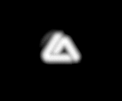 Roger Gracie Academy GIF