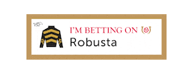Horse Racing Sticker by Kentucky Derby