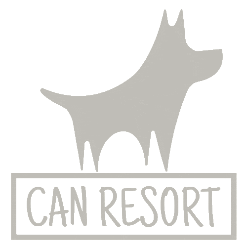 Thebullymansion Sticker by BullysTVShows