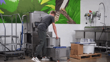 Plates GIF