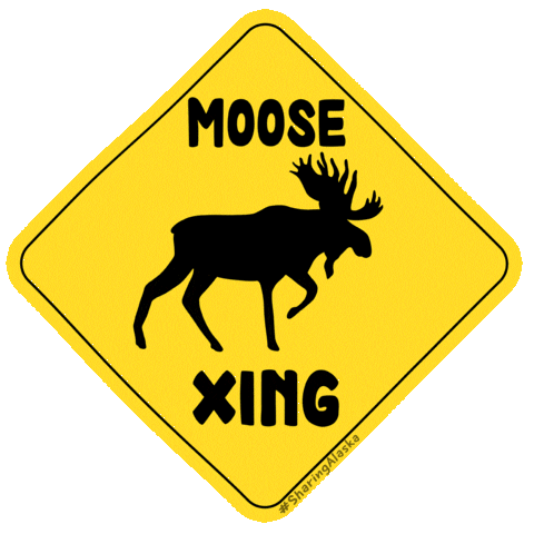 Wildlife Moose GIF by Sharing Alaska
