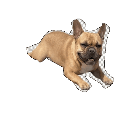 Fun Sticker