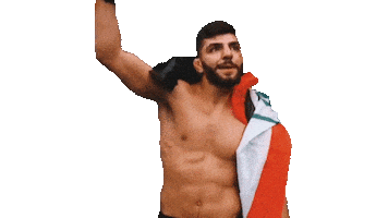 The Prince Celebration Sticker by Amir Albazi