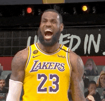 Lebron James Yes GIF by ESPN