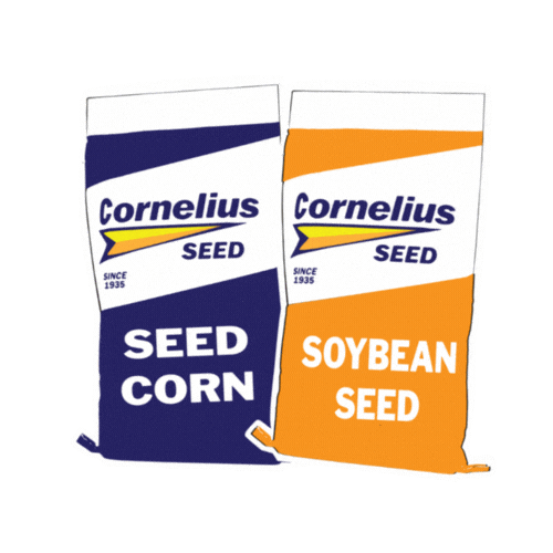Corn Seed Sticker by marketing_cornelius