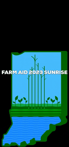Farm Sunrise GIF by Farm Aid