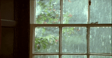 Rain Window GIF