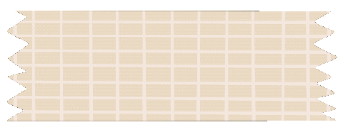 Source: Savannah Scribbles