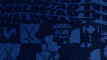 Hockey Tor GIF by Iserlohn Roosters