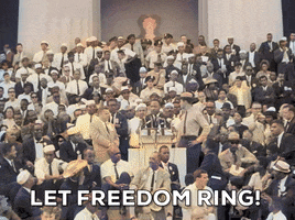 Martin Luther King Jr Freedom GIF by GIPHY News