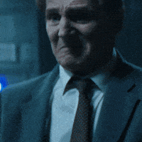 Liam Neeson Fight GIF by The Naked Gun Movie