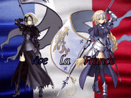France GIF