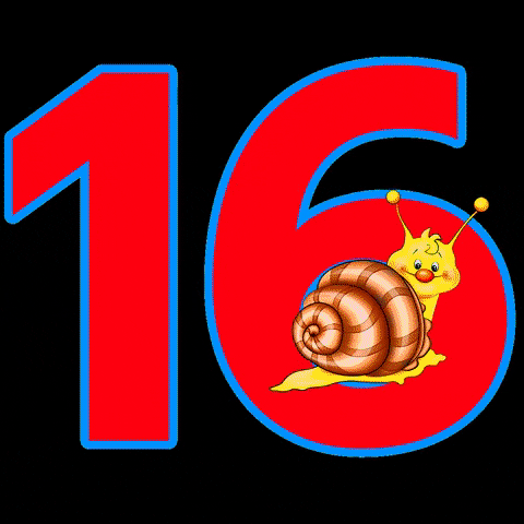 Snail Escargot GIF by Radio LA16.fr en Charente