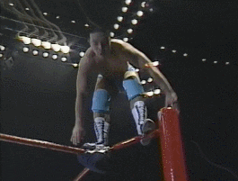 Wwe GIF
