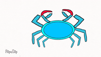 Shocked Crab GIF