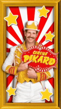 Alexander Schneller-Pikard GIF by Circus Pikard