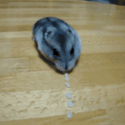 eat