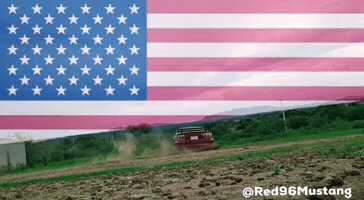 United States Usa GIF