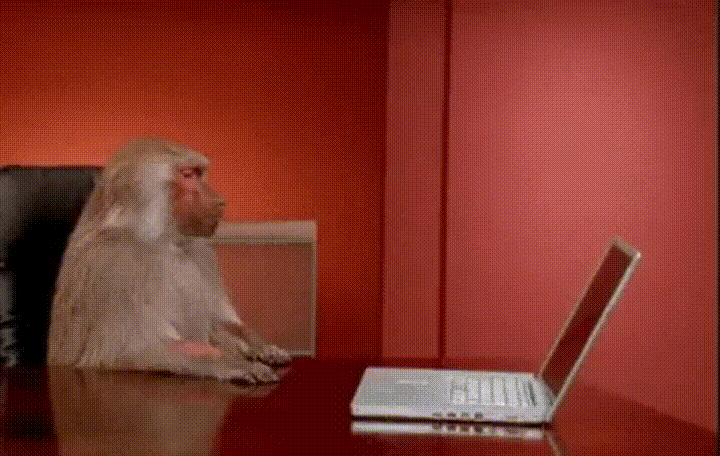 Fellas, You Ever had the urge to Eat that Monkey? Sports