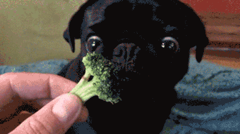 Vegetables GIF - Find & Share on GIPHY