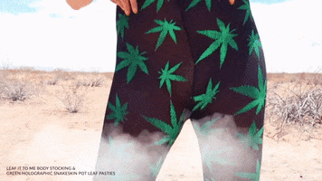 Weed Cannabis GIF by Yandy.com