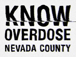 Nevada Opioid GIF by The Speedy Foundation