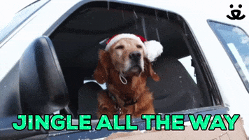 Save Them All Merry Christmas GIF by Best Friends Animal Society