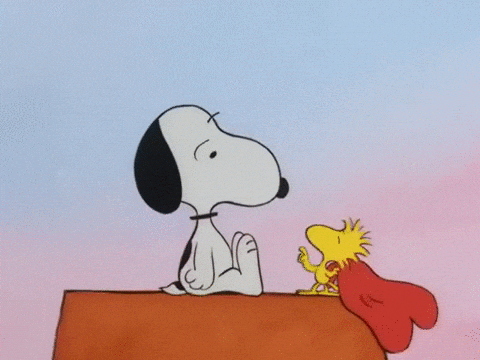 valentine's day