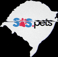 Plamev Pet GIF