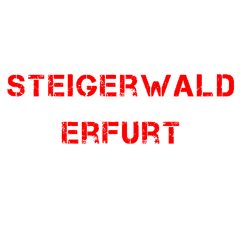 Football Sport Sticker by Steigerwaldstadion Erfurt