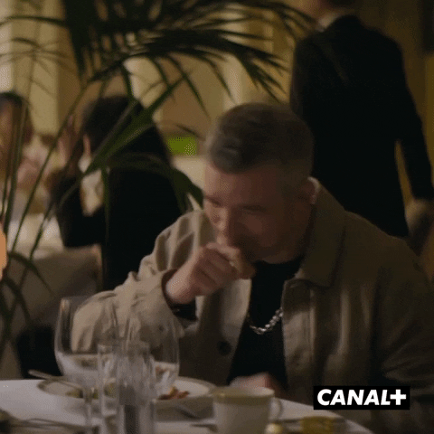 Fun Laughing GIF by CANAL+