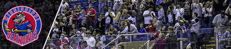 MississippiSeaWolves GIF