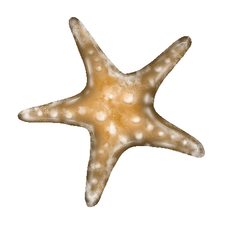 Happy Star Fish Sticker