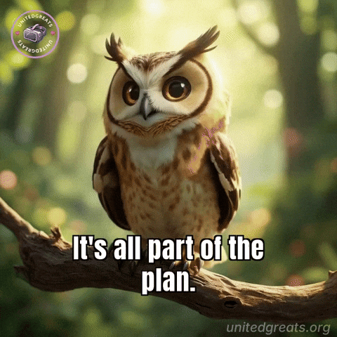 Meaning The Plan GIF by UnitedGreats