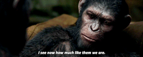Am I the only one who prefers The Planet of The Apes franchise movies?