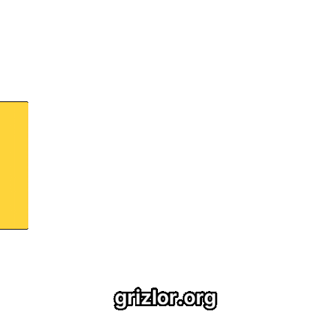 Fun Joy Sticker by grizlor