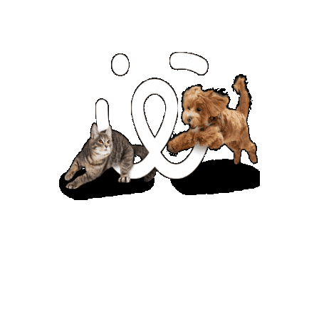 Pet Watch App Sticker