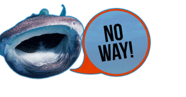 No Way Sticker by OCEANREEF