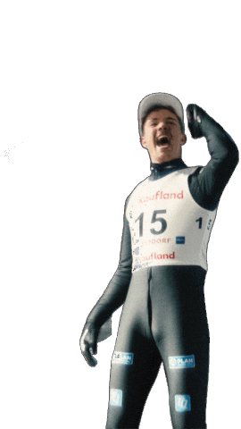 Dsv Skisport Sticker by Kaufland