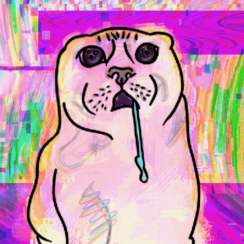 Cat Glitch GIF by Empress Trash