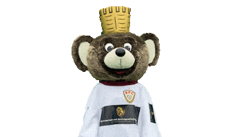 Mascot Teddy Sticker by BFC Dynamo