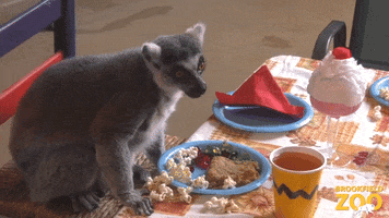 Hungry Dinner GIF by Brookfield Zoo