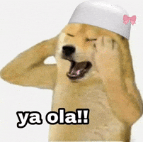 Cheems GIF