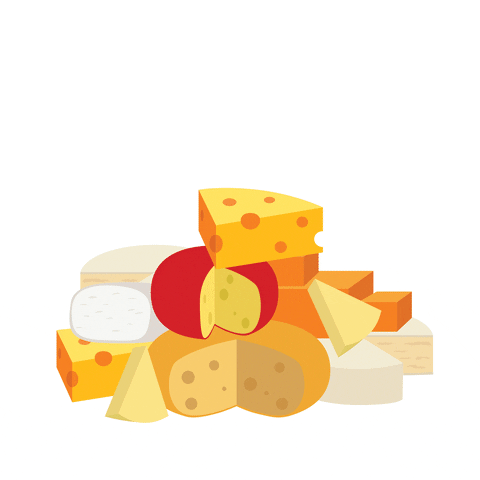 Uw Madison Cheese GIF by Wisconsin Union