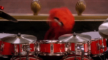 Animal GIF