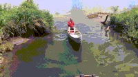 man fish GIF