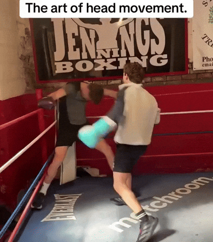 Bestfypage GIF