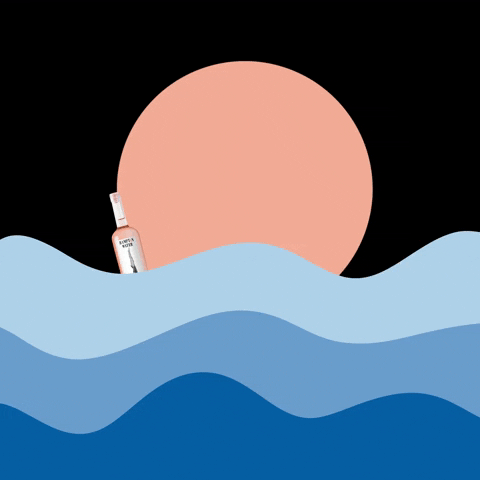 GIF by Hampton Water Wine Co.