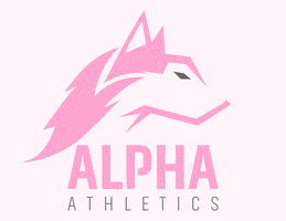 Breastcancerawareness GIF by Alpha Athletics Cheer
