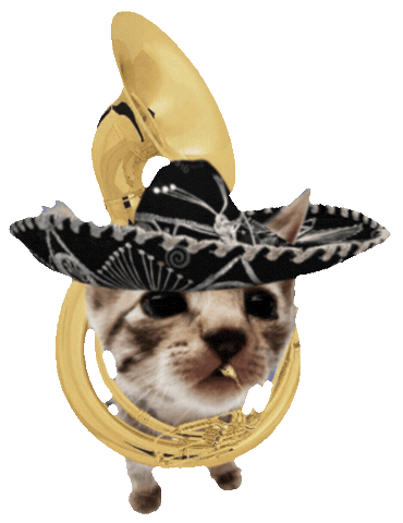 Dance Cat Sticker